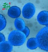 国际干细胞治疗私定